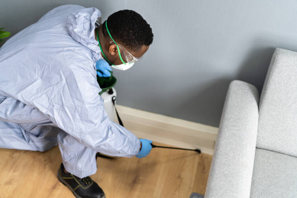 Best Pest Prevention Services  in Landmk, AR